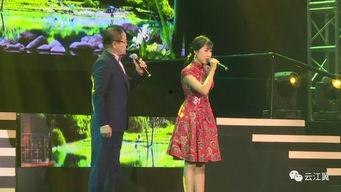 美丽的声音,探寻声音的魅力之旅